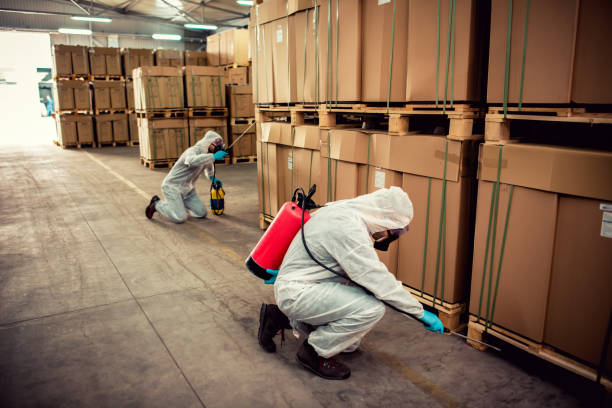 Best Affordable Pest Control Services  in Sullivan, MO