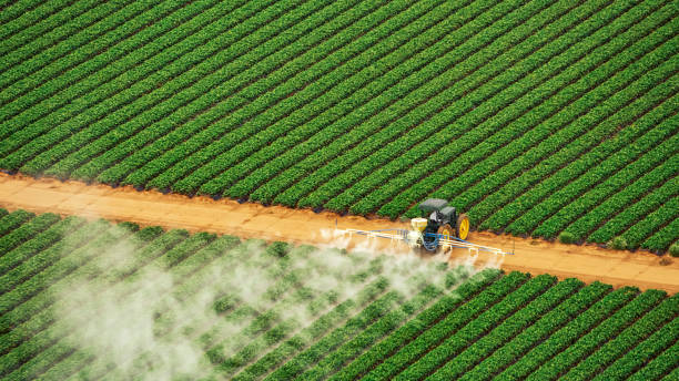 Best Pest Control for Homes  in Sullivan, MO