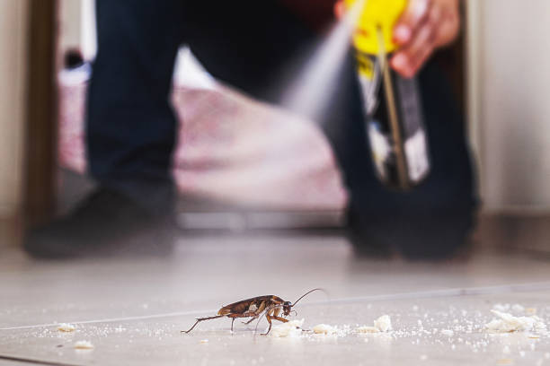Best Insect Control  in Sullivan, MO