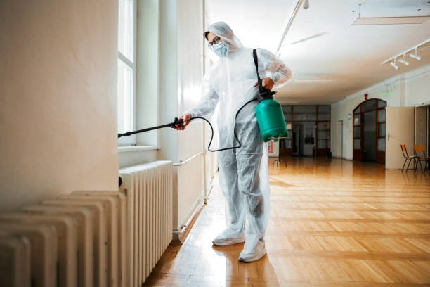 Best Flea Control Services  in Sullivan, MO