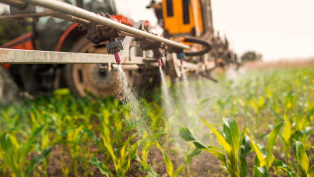 Best Ant Control Services  in Sullivan, MO