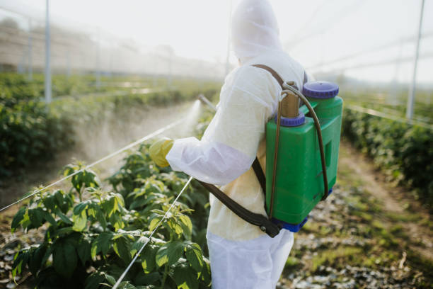 Best Pest Prevention Services  in Sullivan, MO